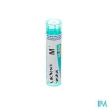 Charger l'image dans la galerie, Lachesis Mutus Mk Gr 4g Boiron
