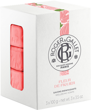 Load image into Gallery viewer, Roger&gallet Fleur De Figuier Doos 3 Zepen 100g
