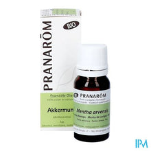 Afbeelding in Gallery-weergave laden, Pranarom Eo Akkermunt Bio 10ml
