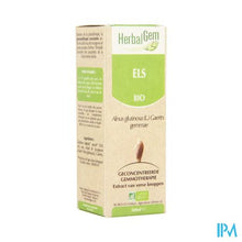 Afbeelding in Gallery-weergave laden, Herbalgem Els Maceraat 50ml
