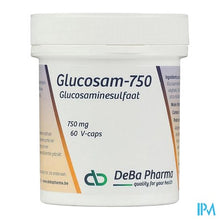 Afbeelding in Gallery-weergave laden, Glucosam Caps 60x750mg Deba
