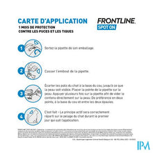 Load image into Gallery viewer, Frontline Spot On Kat 10% Pipet 6x0,50ml
