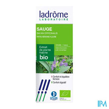 Load image into Gallery viewer, Ladrome Salvia Officinalis/echte Salie 50ml
