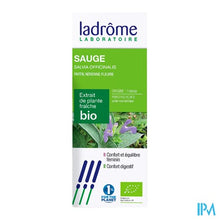 Afbeelding in Gallery-weergave laden, Ladrome Salvia Officinalis/echte Salie 50ml

