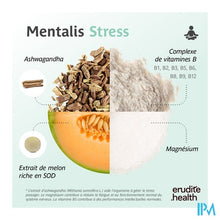 Load image into Gallery viewer, Mentalis Stress Caps 120
