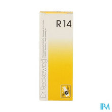 Load image into Gallery viewer, Reckeweg Dr. R14 Gutt 50ml
