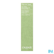 Load image into Gallery viewer, Caudalie Fris Water Fleur De Vigne Spray 50ml Nf
