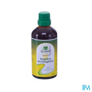 Fytobell Angelica Archangelica Ue Gutt 100ml