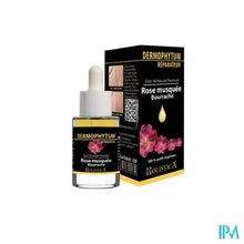 Load image into Gallery viewer, Dermophytum Herstellend Fl 15ml Holistica
