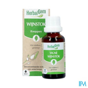 Herbalgem Wijnstok Maceraat Bio 30ml