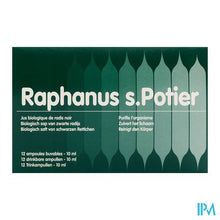 Load image into Gallery viewer, Raphanus S Pot Amp Per Os 12x10ml
