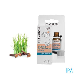 Pranarom Aromaderm Lotion Gele Nagel Fl 10ml
