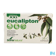 Load image into Gallery viewer, Soria 26c Eucalipton Xxi Caps 30
