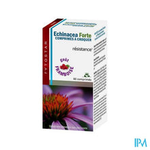 Load image into Gallery viewer, Fytostar Echinacea Forte Kauwtabl 60

