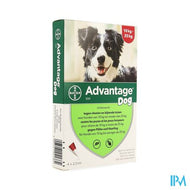 Advantage 250 Honden 10<25kg 4x2,5ml