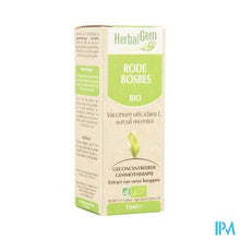 Afbeelding in Gallery-weergave laden, Herbalgem Rode Bosbes Maceraat 15ml
