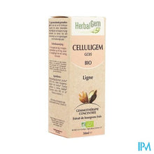 Load image into Gallery viewer, Herbalgem Celluligem Complex 50ml
