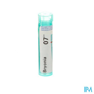 Bryonia 7ch Gr 4g Boiron