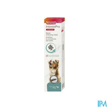 Afbeelding in Gallery-weergave laden, Beaphar Intesto Pro Pasta Hond >15kg 2x20ml
