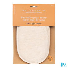Afbeelding in Gallery-weergave laden, Sanodiane 73 Loofah Washandje
