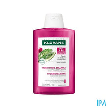 Afbeelding in Gallery-weergave laden, Klorane Capil. Sh Cactusvijg 200ml
