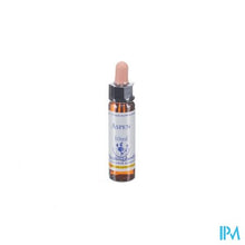 Afbeelding in Gallery-weergave laden, Healing Herbs Aspen 10ml
