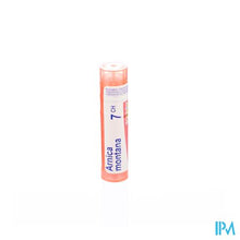 Afbeelding in Gallery-weergave laden, Arnica Montana 7ch Gr 4g Boiron
