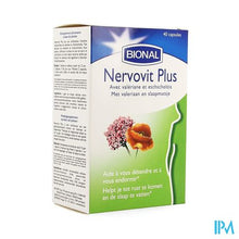 Afbeelding in Gallery-weergave laden, Bional Nervovit Caps 40
