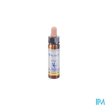 Afbeelding in Gallery-weergave laden, Healing Herbs Walnut 10ml
