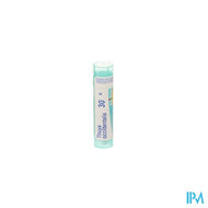 Thuya Occidentalis 30k Gr 4g Boiron