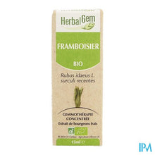 Load image into Gallery viewer, Herbalgem Frambozen Maceraat 15ml
