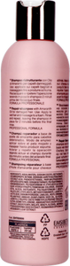 Ethe Repair Herstellende Shampoo Beschadigd 250ml