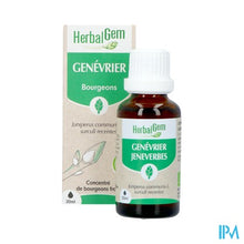 Load image into Gallery viewer, Herbalgem Jeneverbes Bio 30ml
