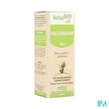 Afbeelding in Gallery-weergave laden, Herbalgem Vijgenboom Maceraat 50ml
