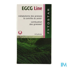 Load image into Gallery viewer, Fytostar Egcg Line Maxi Caps 120
