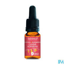 Afbeelding in Gallery-weergave laden, Ladrome Haagbeuk/hornbeam 10ml
