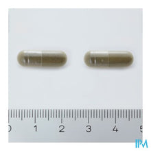 Load image into Gallery viewer, Arkocaps Ginkgo Biloba Plantaardig 45
