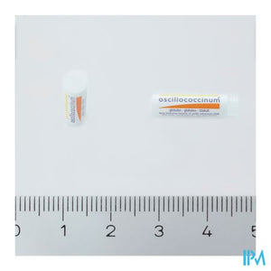 Oscillococcinum Doses 30 X 1g Boiron