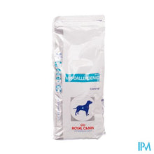 Load image into Gallery viewer, Vdiet Hypoallergenic Canine 2kg
