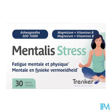Afbeelding in Gallery-weergave laden, Mentalis Stress Caps 30
