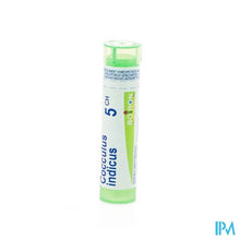 Load image into Gallery viewer, Cocculus Indicus 5ch Gr 4g Boiron
