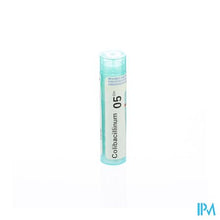 Afbeelding in Gallery-weergave laden, Colibacillinum 05ch Gr 4g Boiron
