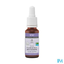 Afbeelding in Gallery-weergave laden, Bachbloesem Bio N41 Druppels Concentratie 20ml
