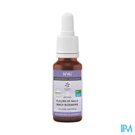 Bachbloesem Bio N41 Druppels Concentratie 20ml