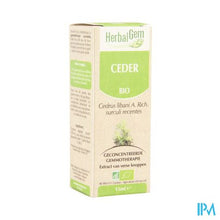 Afbeelding in Gallery-weergave laden, Herbalgem Libanonceder Maceraat 15ml
