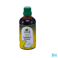 Fytobell Equisetum Arvense Ue Gutt 100ml