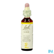 Afbeelding in Gallery-weergave laden, Bach Flower Remedie 13 Gorse 20ml

