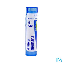 Afbeelding in Gallery-weergave laden, Arnica Montana 9ch Gr 4g Boiron
