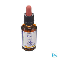 Healing Herbs Pine 30ml