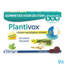 Afbeelding in Gallery-weergave laden, Plantivox Pastilles 24
